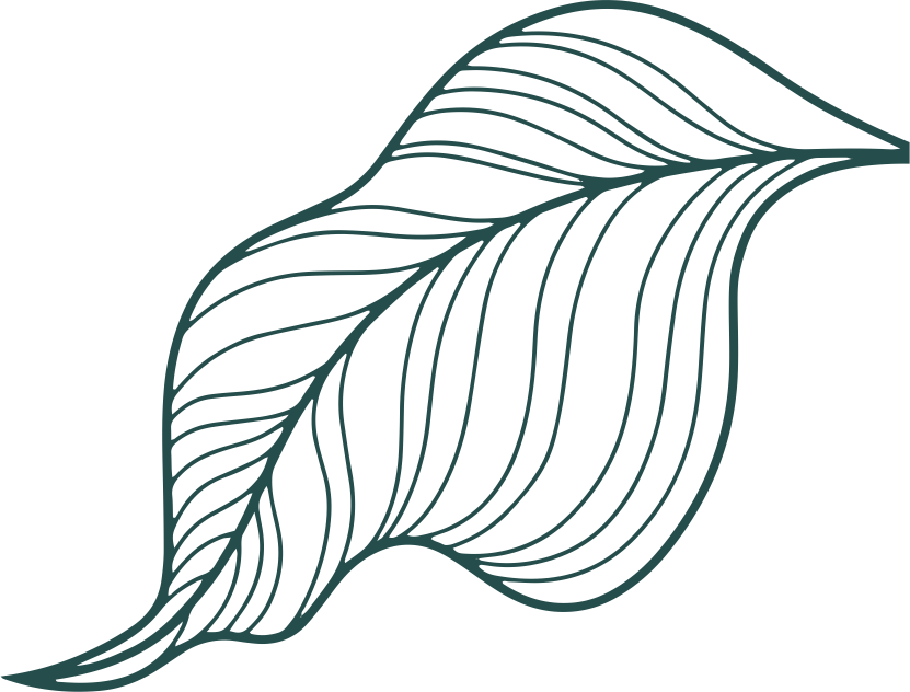 leaf maewa